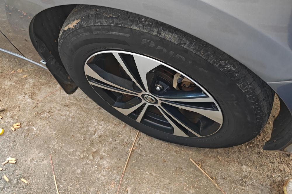 Nissan Sylphy, фото 8