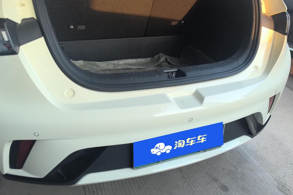 BYD Dolphin, фото 8