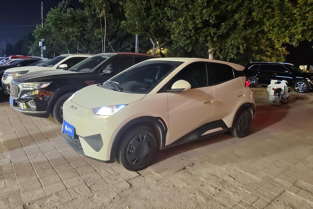 BYD Seagull