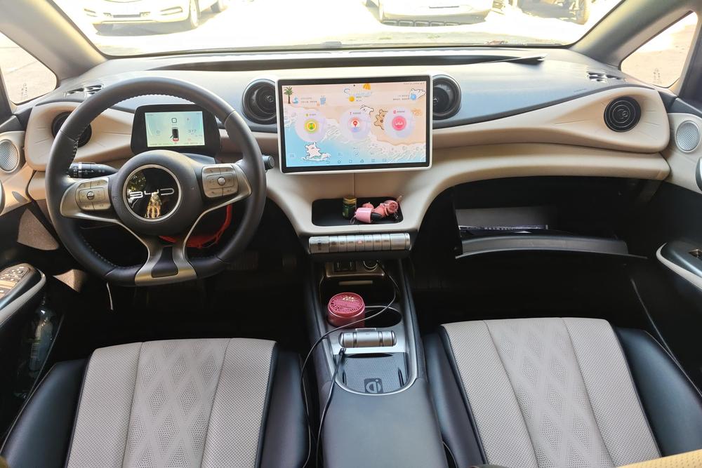 BYD Dolphin, фото 12