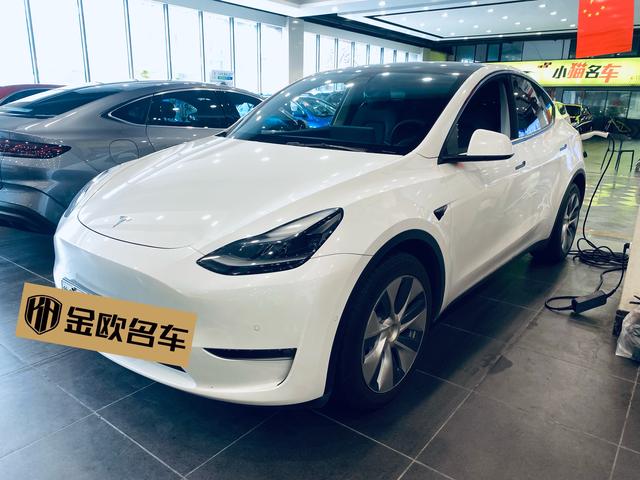 Tesla Model Y 2021 года выпуска