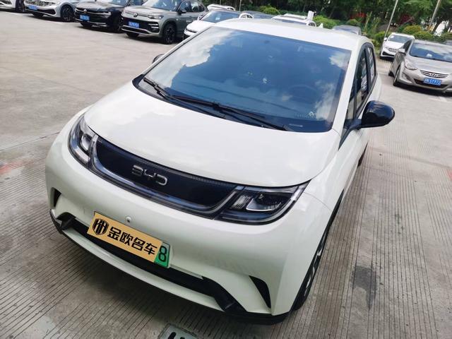 BYD Dolphin 2024 года выпуска