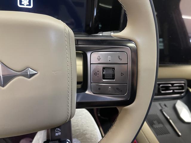 Leopard Leopard 5 2024 Желтый из Китая, фото 5