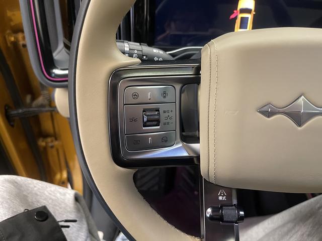 Leopard Leopard 5 id 3782453 из Китая 17