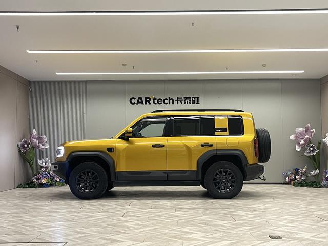 Leopard Leopard 5 id 3782453 из Китая 21