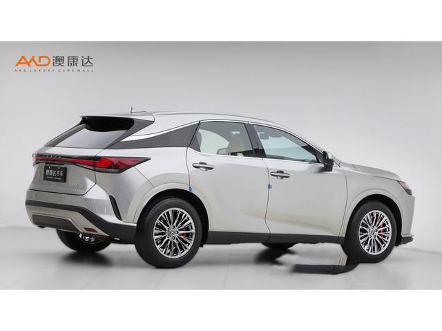 Lexus RX 2023 350h 2 WD — фото 4