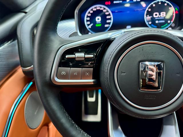 Tank 700 Hi4-T 2024 Черный из Китая, фото 6