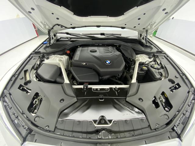 BMW 5-Series 2023 530 Li Leading M — фото 10