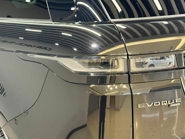 Land Rover Range Rover Aurora 2021 — фото 10