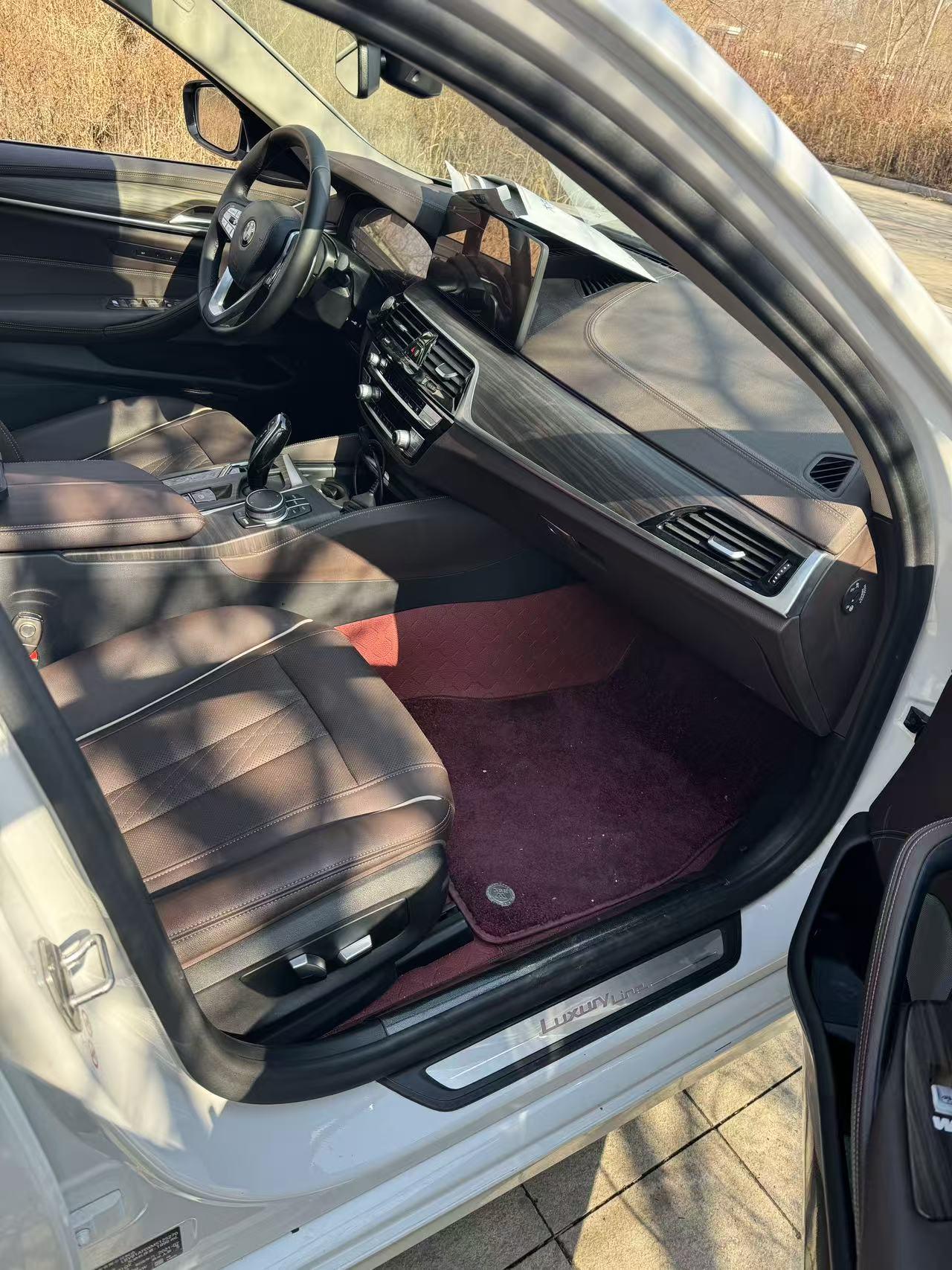 BMW 5 Series 5 2021 530Li xDrive Luxury
