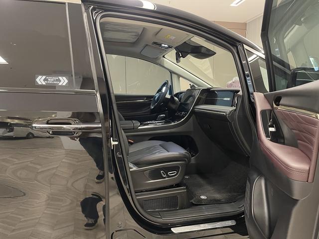 Trumpchi M8 2024 2.0 TM Hybrid — фото 13