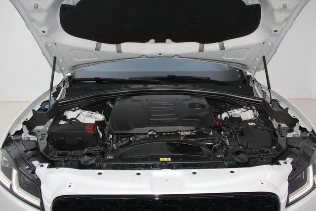 Jaguar F-PACE 2024 P 250 R-Dynamic SE — фото 7