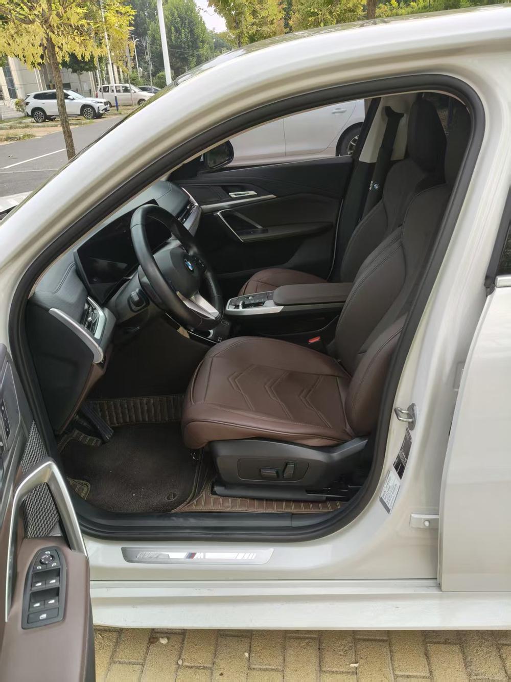 BMW X2 (Import), фото 9