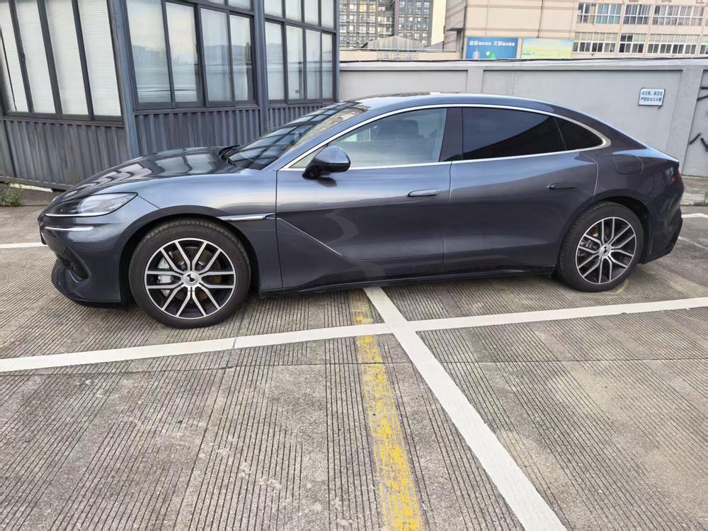 DENZA Z9 DM, фото 3