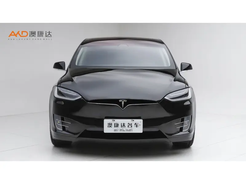 Tesla Model X 100 D — фото 2