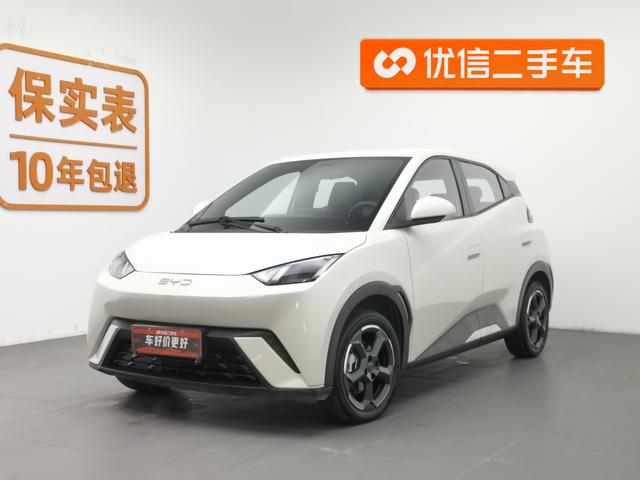 BYD Seagull 2024 года выпуска