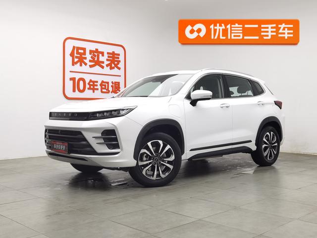 Astral Path Chasing the wind C-DM 2022 Белый из Китая