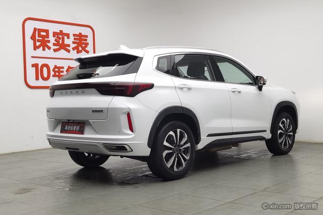 Astral Path Chasing the wind C-DM id 3804792 из Китая 9