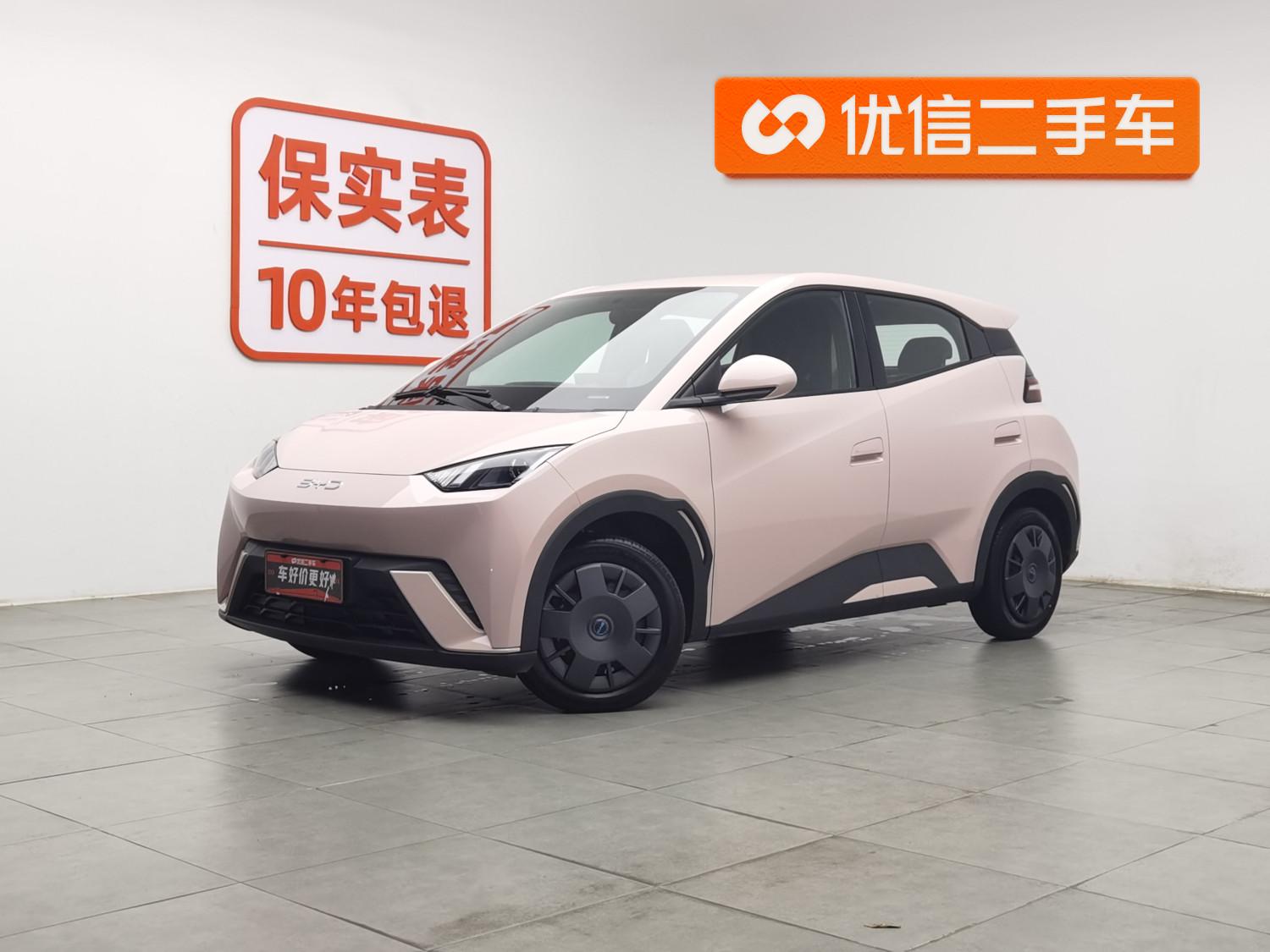 BYD Seagull
