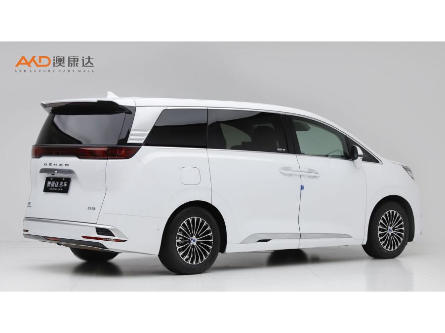 DENZA D9 DM, фото 4