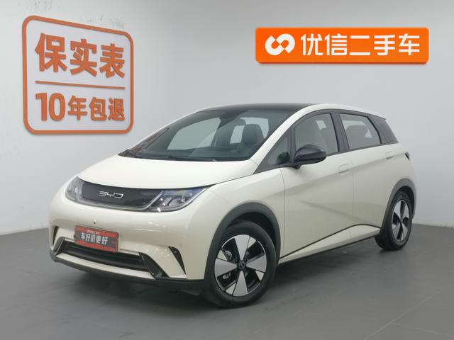 BYD Dolphin 2023 года выпуска