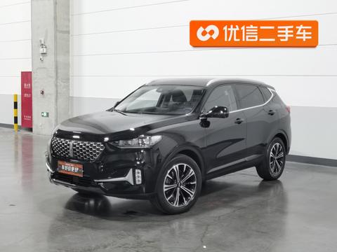 WEY VV6