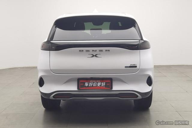 Denza X PHEV 2020 2.0 T — фото 3