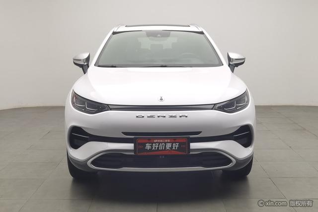 Denza X PHEV 2020 2.0 T — фото 2