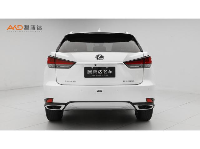 Lexus RX 2020 300 2 WD VI — фото 3