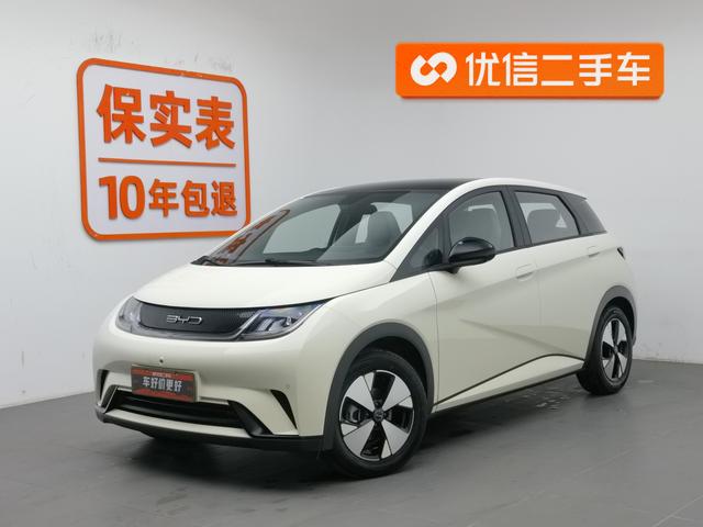 BYD Dolphin 2023 года выпуска