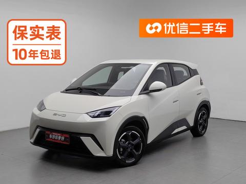 BYD Seagull 2023 — пригон из Китая