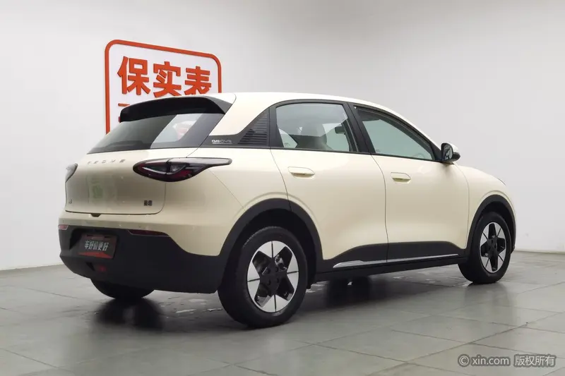 Geely Galaxy Starwish — фото 4