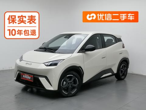 BYD Seagull 2023 Flying
