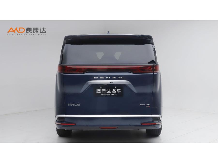 DENZA D9 DM, фото 3