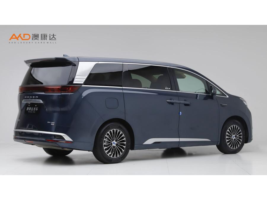 DENZA D9 DM, фото 4