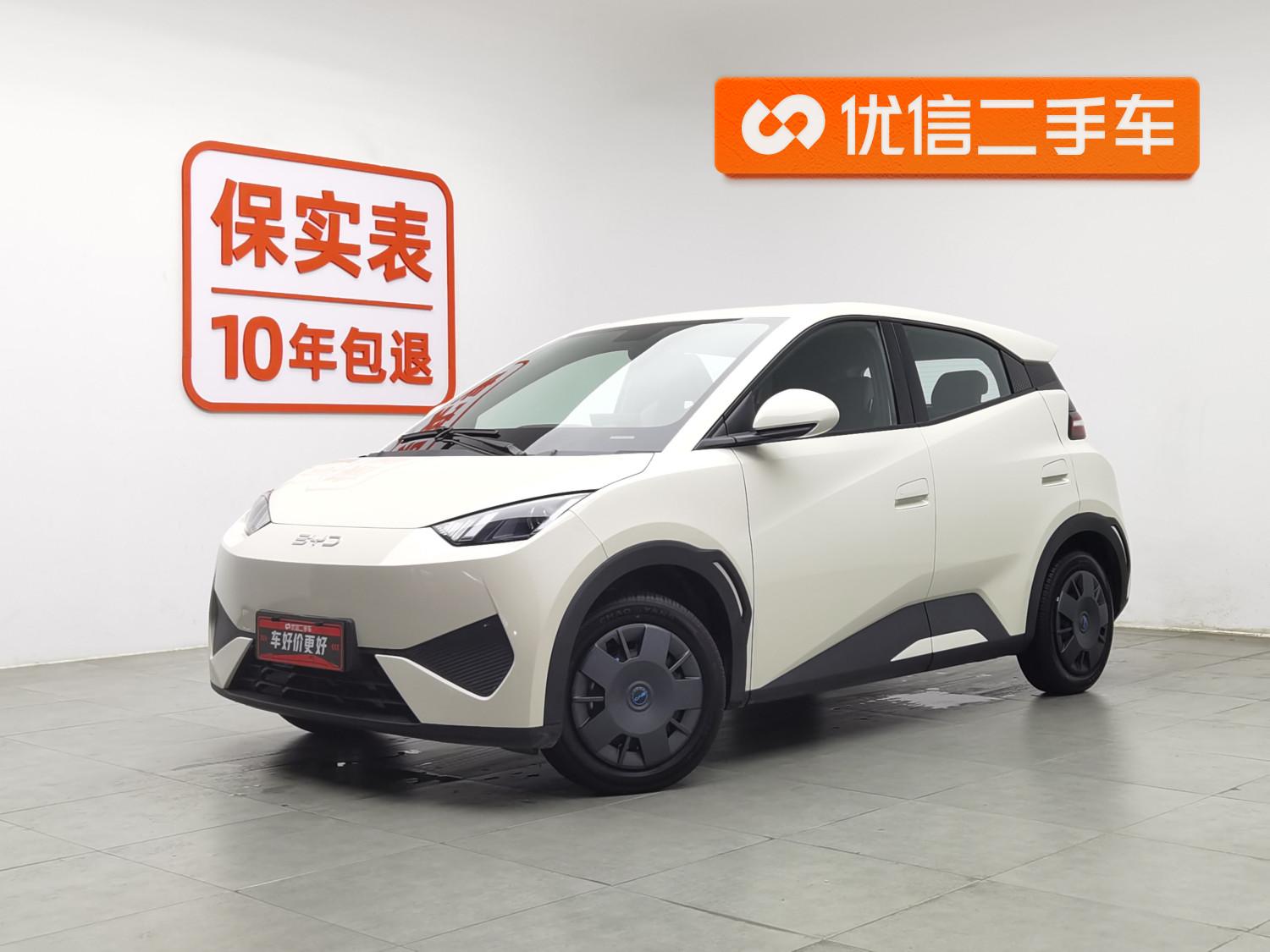 BYD Seagull
