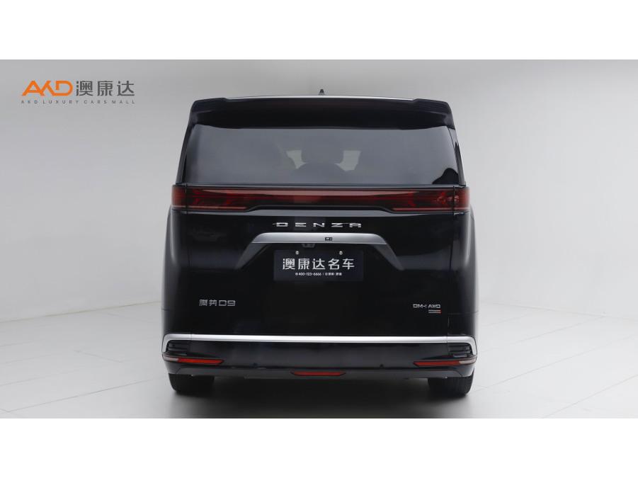 DENZA D9 DM, фото 3
