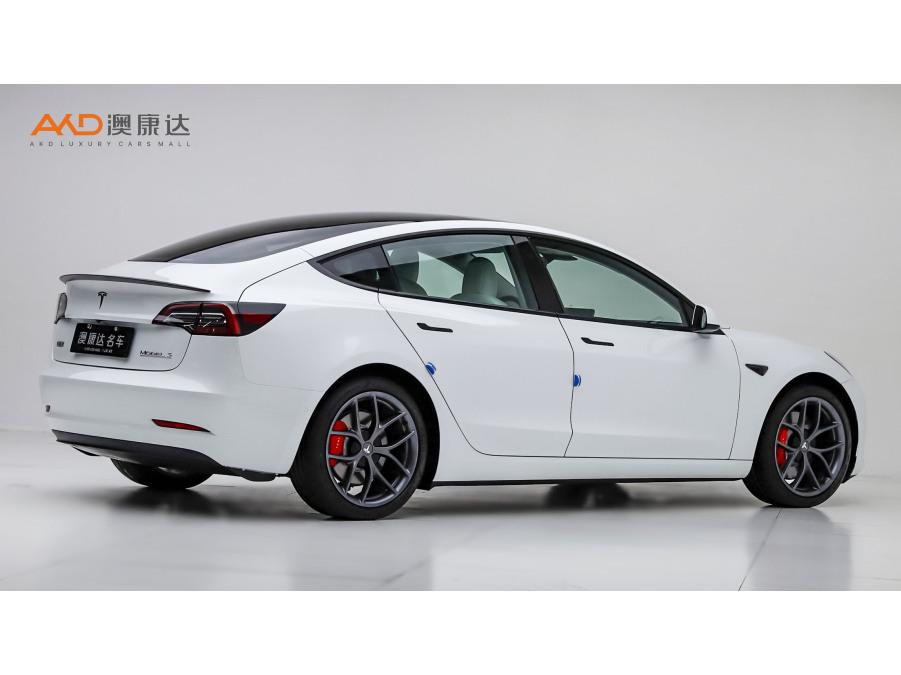 Tesla Model 3 2021 Performance 3D3/3D1