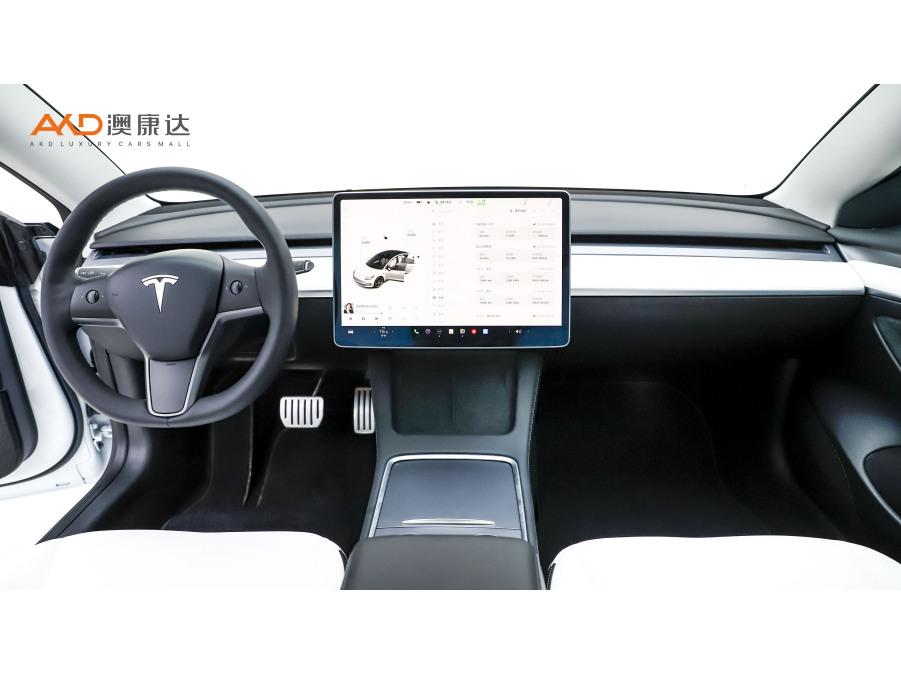 Tesla Model 3 2021 Performance 3D3/3D1