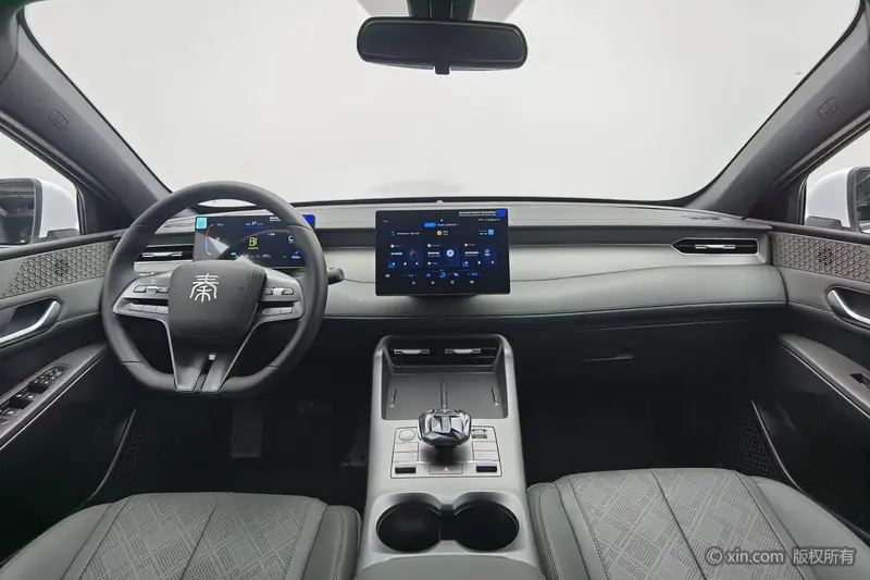 BYD Qin PLUS DM-i 55 KM — фото 8