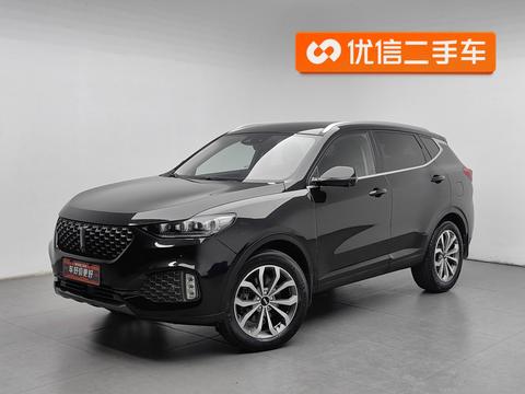 WEY VV6