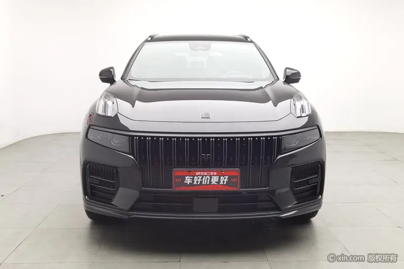 Lynk&Co Lynk & Co 09 2.0 T Halo — фото 2