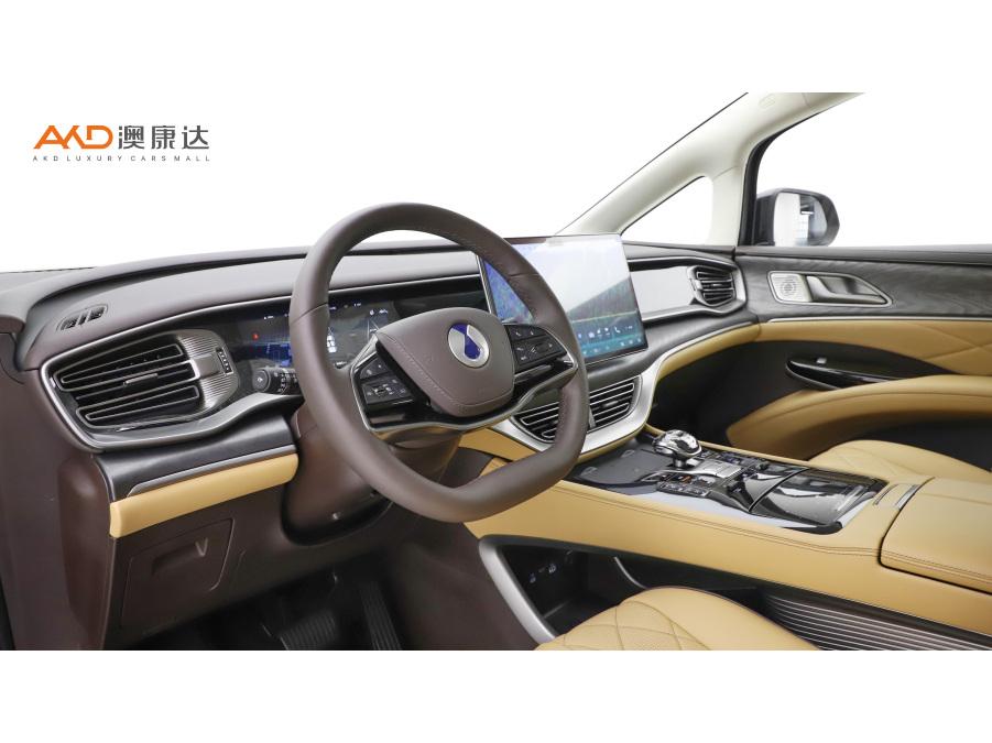 Denza D9 DM 2024 980 Luxury