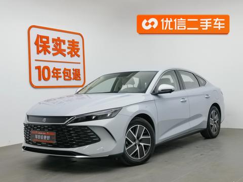 Qin L DM 2024 80KM Transcendent Type