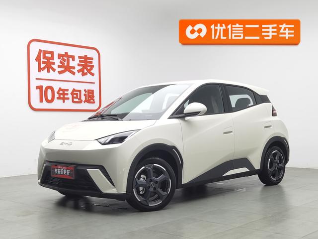 BYD Seagull 2024 года выпуска