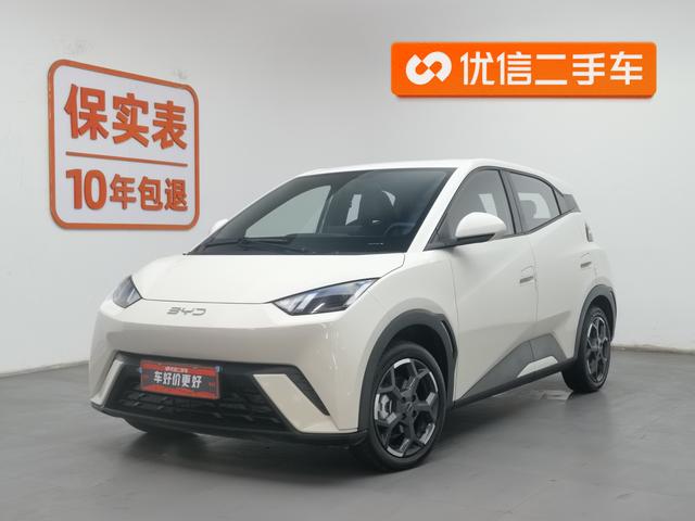 BYD Seagull 2024 года выпуска