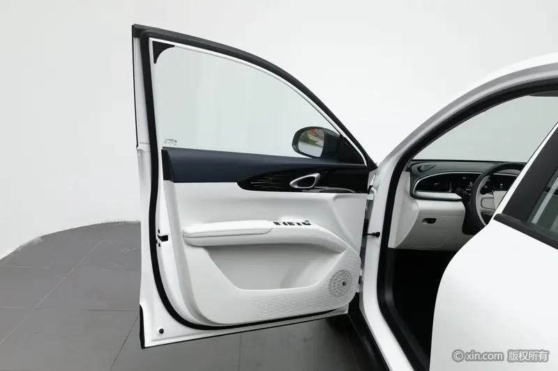 Geely Galaxy Starwish — фото 14
