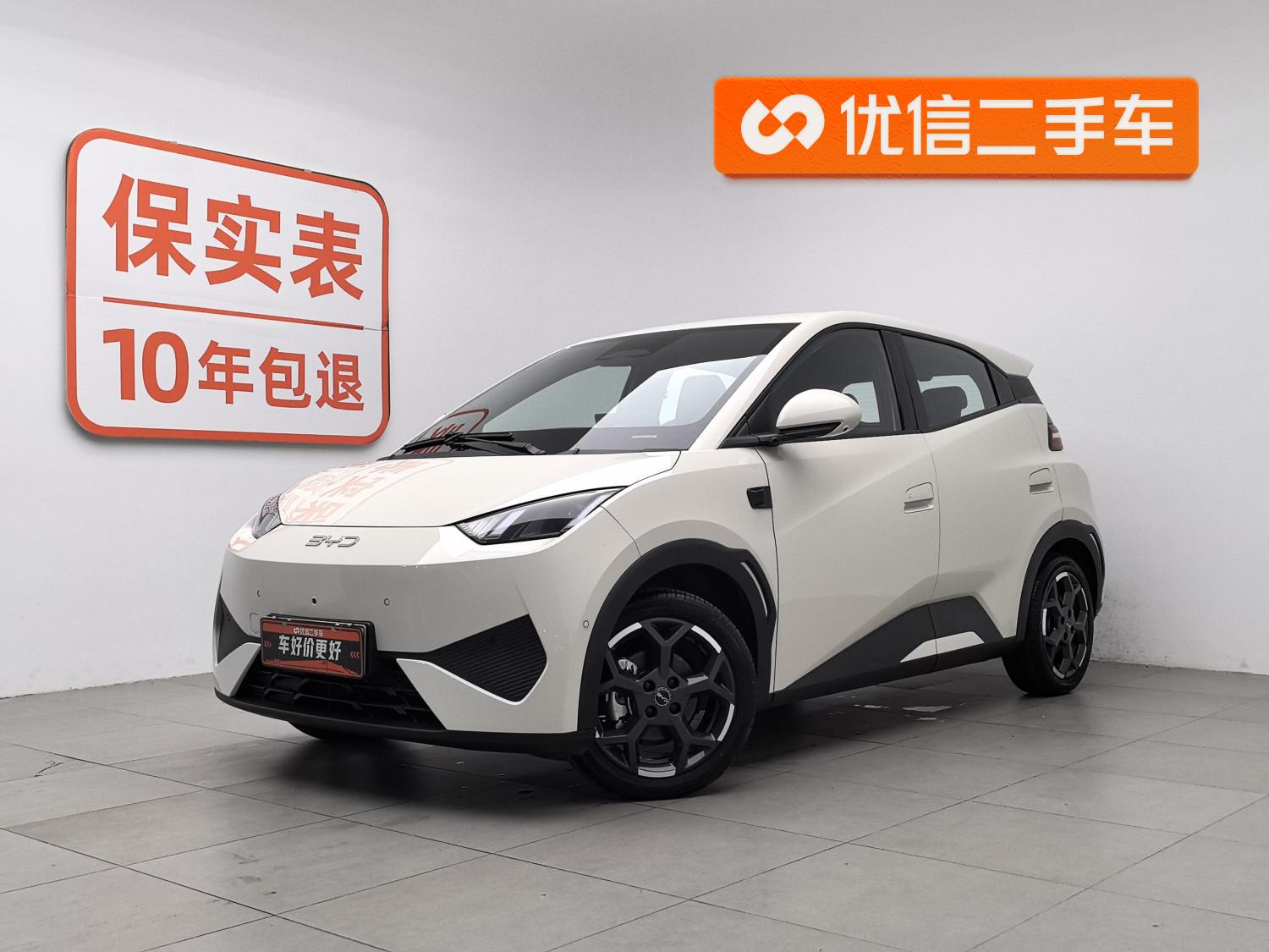 BYD Seagull