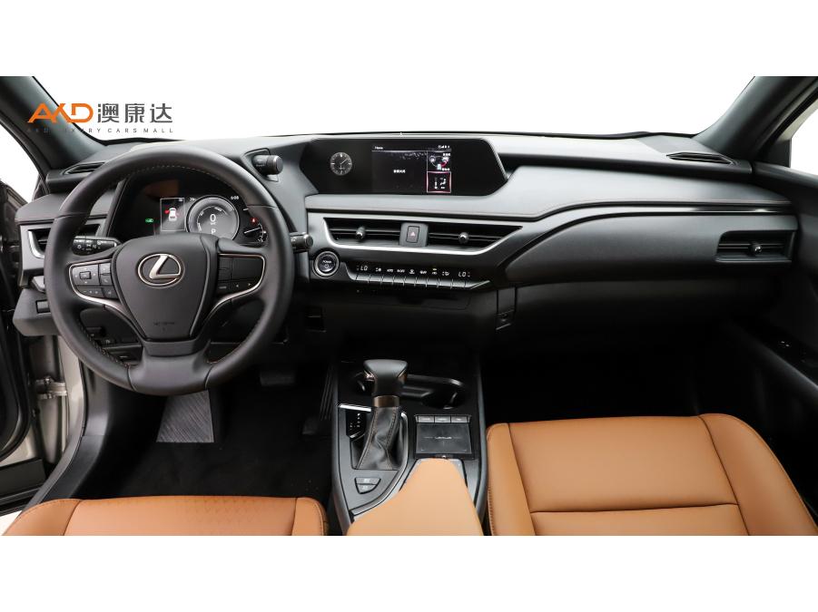 Lexus UX 2020 260h VI