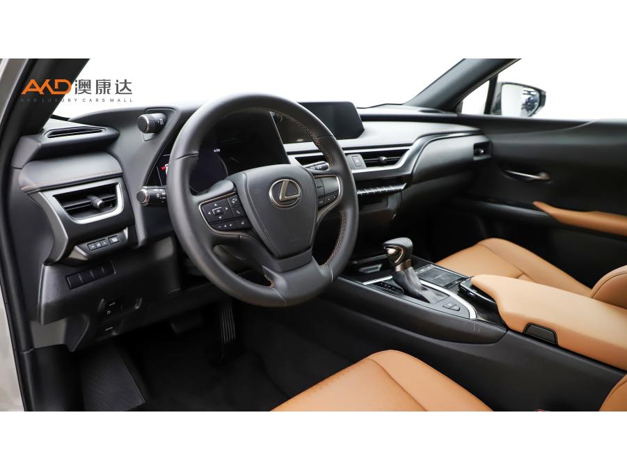 Lexus UX 2020 260h VI